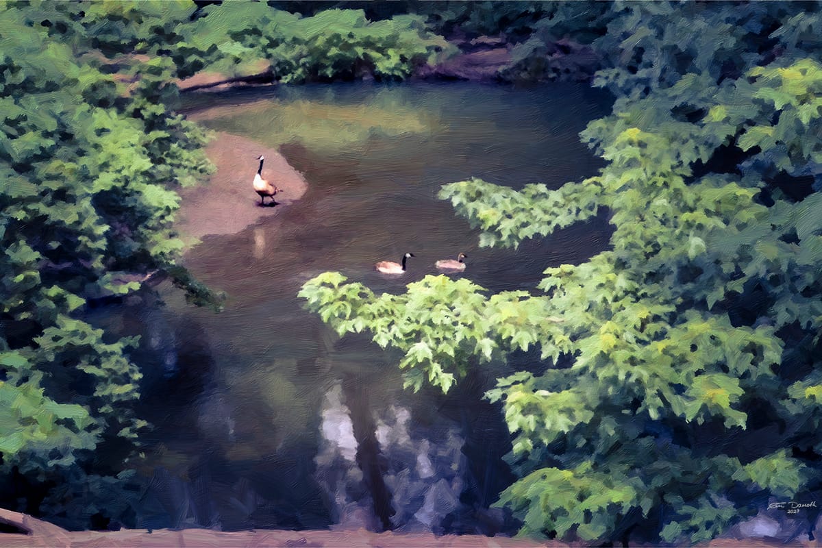 Geese on the Little Elkhart River